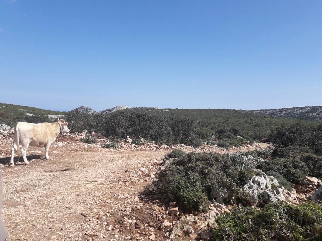 Vacanze Mare E Montagna